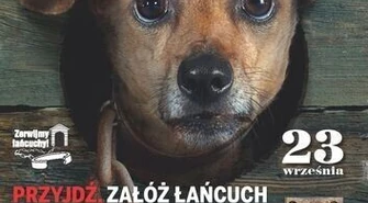 Zrywamy łańcuchy: Bądź bratem &#8211; nie katem!