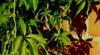 Spotkanie autorskie Danuty Muchy