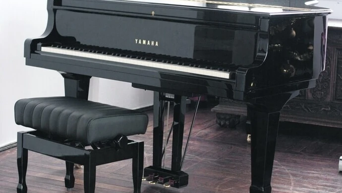 Muzeum w Piotrkowie zaprasza: Koncert na nowym fortepianie