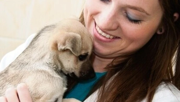 Schronisko ma własny gabinet weterynaryjny