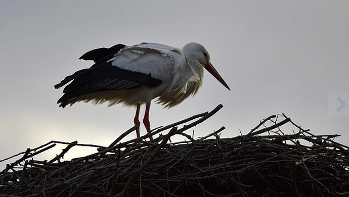 Pogoda jak w przysłowiowym Marcu. Czy się ustabilizuje ?