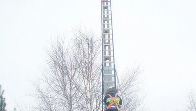 W Rozprzy dokarmiają bociana