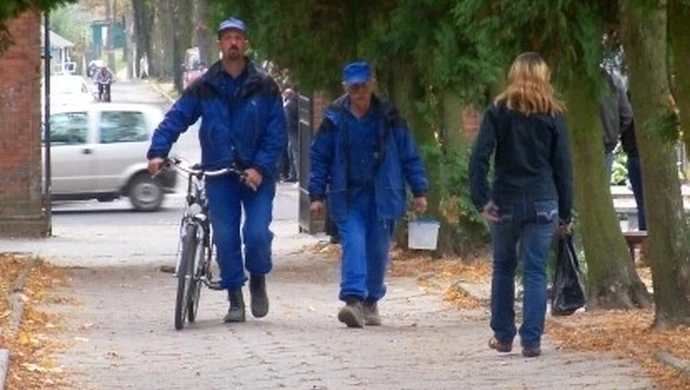 Wytną 26 drzew na piotrkowskim cmentarzu