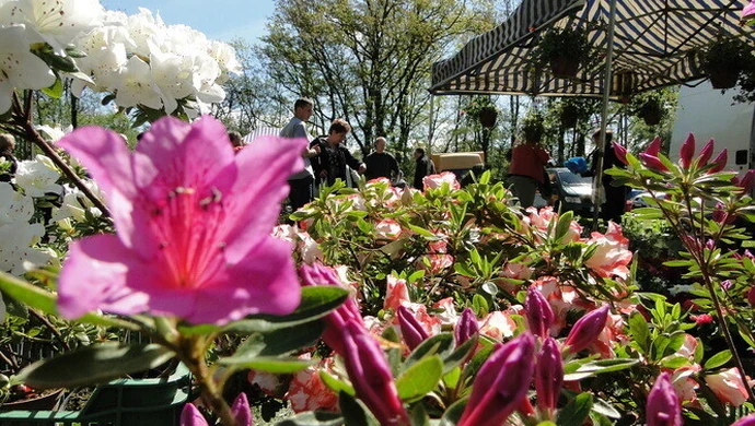 Pamiętajmy o ogrodach... - VIII Piotrkowskie Targi Ogrodnicze