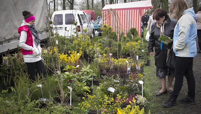 Pamiętajmy o ogrodach... - VIII Piotrkowskie Targi Ogrodnicze