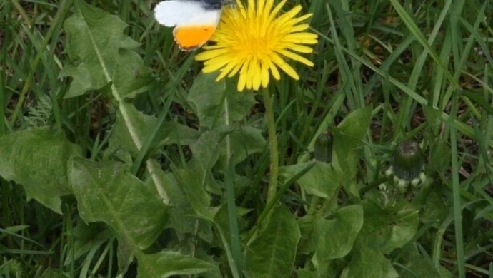 Pogoda na długi weekend