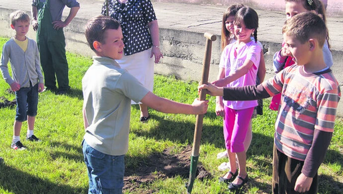 Dzień Dobrego Drzewa