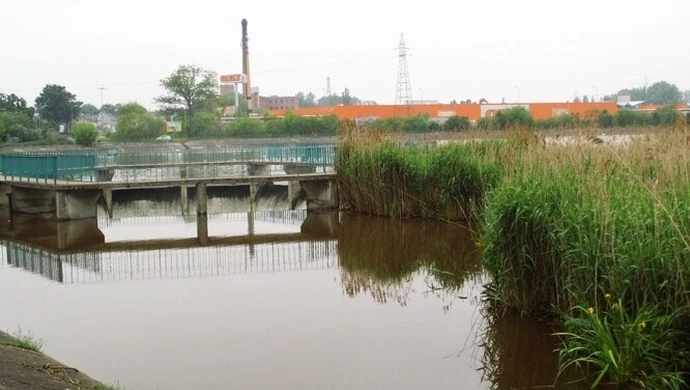 Strażacy walczą z pływającą wyspą