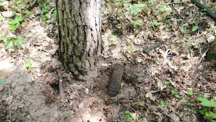 Pozostałości po II Wojnie Światowej