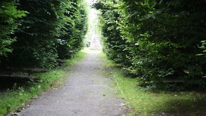 Fatalny stan alejek w parku Poniatowskiego