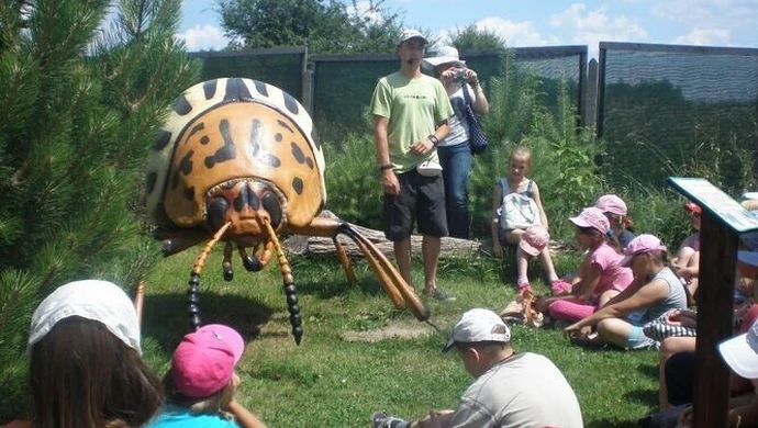 Dzieci z Piotrkowa poznały świat owadów