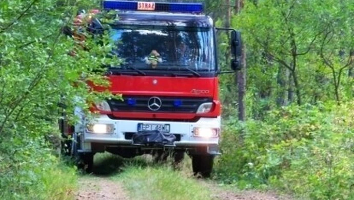 Zauważyłeś gniazdo owadów &#8211; wezwij straż pożarną