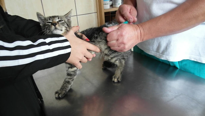 NIECHCIANE, PORZUCONE, ZANIEDBANE, CZYLI ŻNIWO WAKACJI