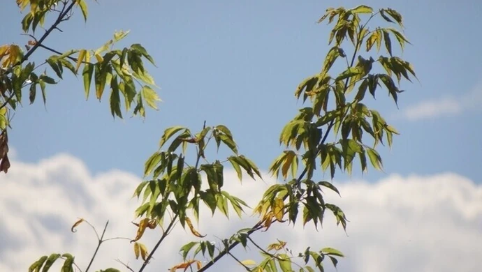 Lato skończy się w niedzielę
