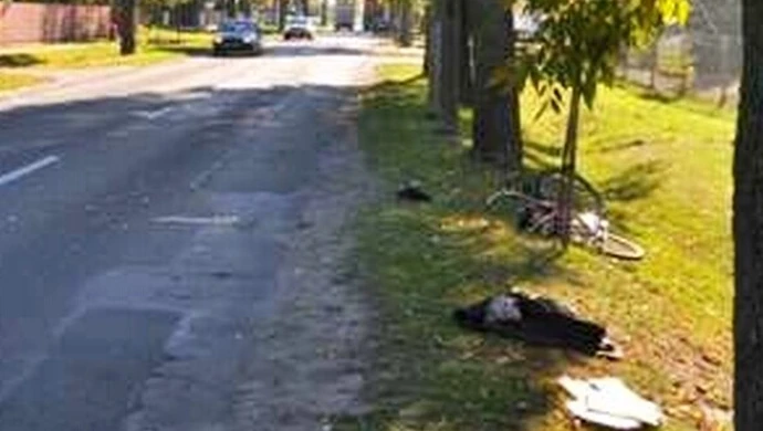 Potrącony na Wojska Polskiego trafił do szpitala
