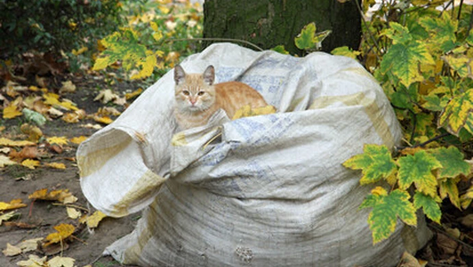 Ostatni ciepły weekend?