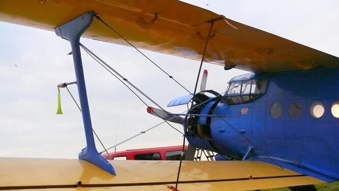 12 „Antków” szczepi lisy