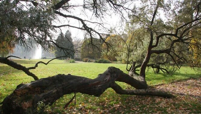 Będą rewitalizować park Poniatowskiego?