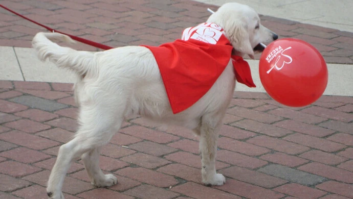 Zainaugurowali Szlachetną Paczkę
