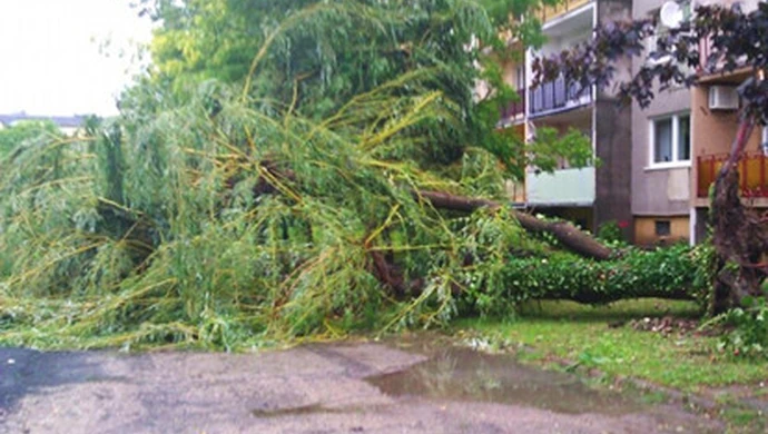 W Piotrkowie i okolicach może mocno wiać