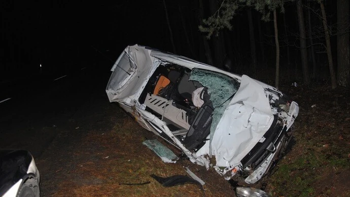 Zderzenie samochodu z łosiem. Kierowca w szpitalu