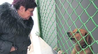 TOZ wygrało przetarg na prowadzenie schroniska