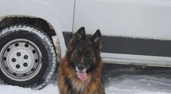 Nowy pies w piotrkowskiej Komendzie