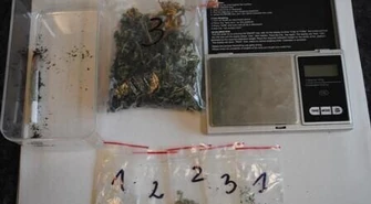 Sulejowianin i 13 gramów marihuany