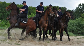 Przetestowali policyjne konie 