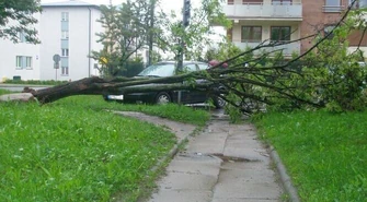 Powalone drzewa, zalane posesje