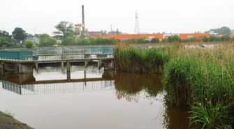 Strażacy walczą z pływającą wyspą