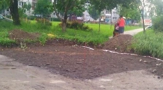 &#8222;Dlaczego wycięto te piękne drzewa?&#8221;