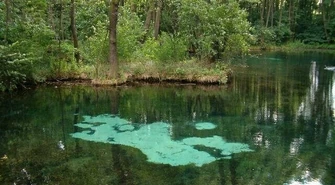 Niebieskie źródła, czyli tomaszowski skarb