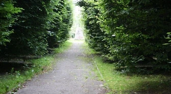 Fatalny stan alejek w parku Poniatowskiego