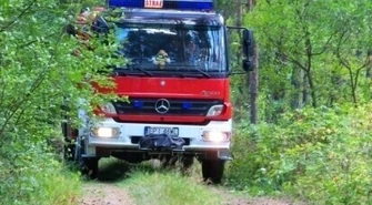 Zauważyłeś gniazdo owadów &#8211; wezwij straż pożarną