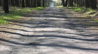 Region:  Dziś otwarcie ścieżki rowerowej w Spale