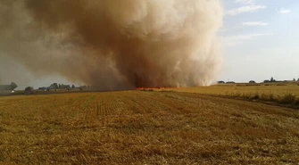 Bujny: Spłonęło kilka hektarów rżyska