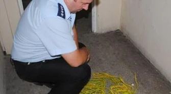 Kradli przewody na klatkach schodowych