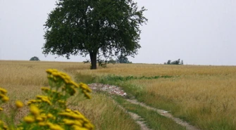 Album powiatu piotrkowskiego gotowy