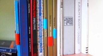 Piotrkowianie najczęściej wypożyczają porno...