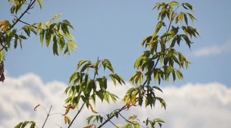 Lato skończy się w niedzielę