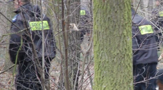 Nie żyje grzybiarz - ukąsił go wąż