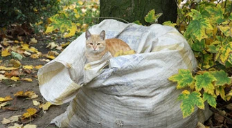 Ostatni ciepły weekend?