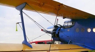 12 &#8222;Antków&#8221; szczepi lisy