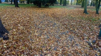 Parkowe alejki toną w liściach