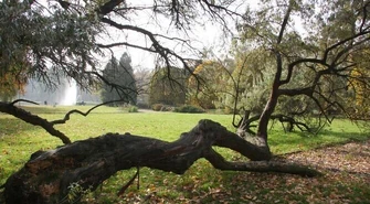 Będą rewitalizować park Poniatowskiego?
