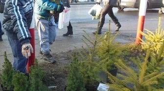 Strefa FM rozdawała swoim słuchaczom choinki w Radomsku