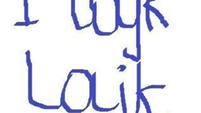 Wpadki, porażki, błędy i skandale 2013