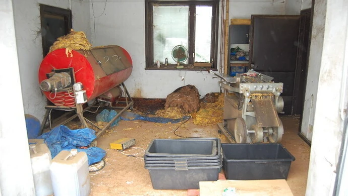 Celnicy rozbili nielegalną wytwórnię tytoniu