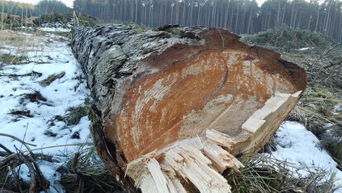 Ruszyły przygotowania do budowy obwodnicy Bełchatowa